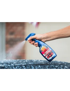 303 Convertible Top... 2